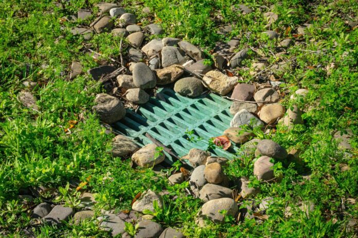 Kisi-kisi hijau dikelilingi oleh bebatuan dan rumput